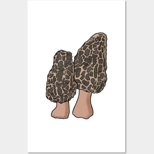 Pair of Morel mushrooms Posters and Art